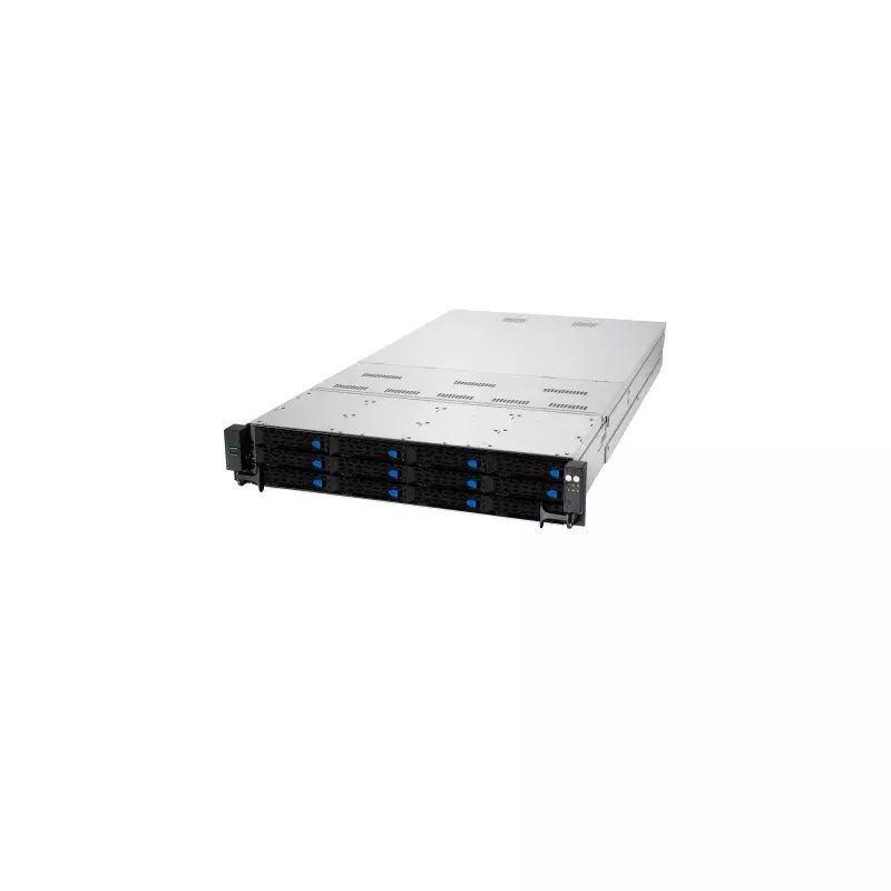 RS720-E10-RS12 Asus Server
